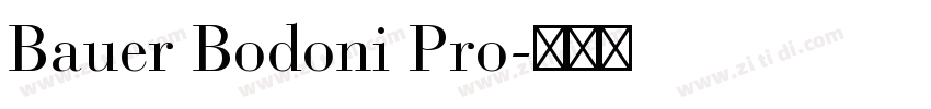 Bauer Bodoni Pro字体转换